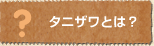 タニザワとは？